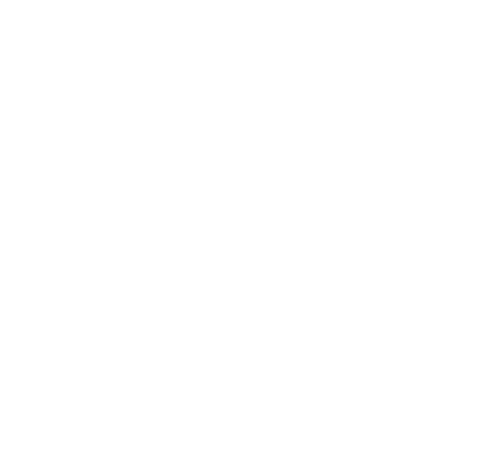 Regional Excellence Icon